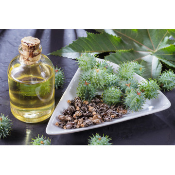 castor carrier oil for skin care