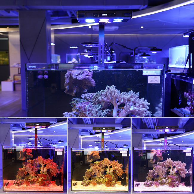 LED Aquarium Coral Reef Light مع التحكم في التطبيق