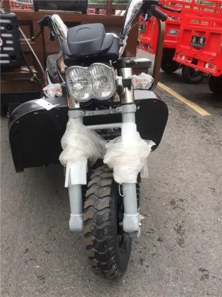 Best Quality Wholesale 200CC Motorized Moto Tricycles for Adults