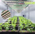 Planta de hierbas de invernadero LED de alta calidad 1000W