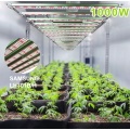 Wysokiej jakości LED Greenhouse Herb Plant 1000 W