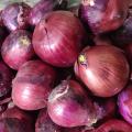 Top Quality Fresh Red Onions