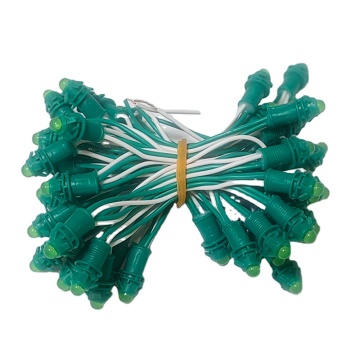 Indoor/Outdoor RGB LED String Lights DC 12V - Decorative Tree and Garden Lights (80 LEDs)