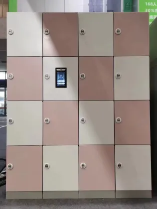Smart Lockers with Facial Recognition and IoT Technologies
