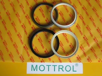 Dust Seal Dkb170 Ar4785e5 
