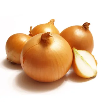 Good Quality L-Size Fresh Onions