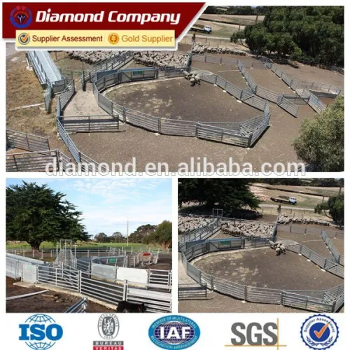 Used Livestock Panels/livestock Fence Panel/livestock Panels, High