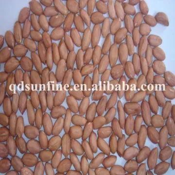 best price of peanut seed new crop
