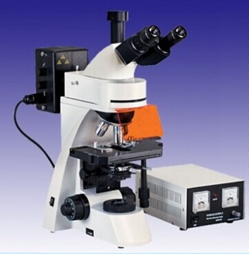 EPI-Fluorescence Microscope