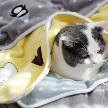 blanket soft and smooth throw blanket pet blanket