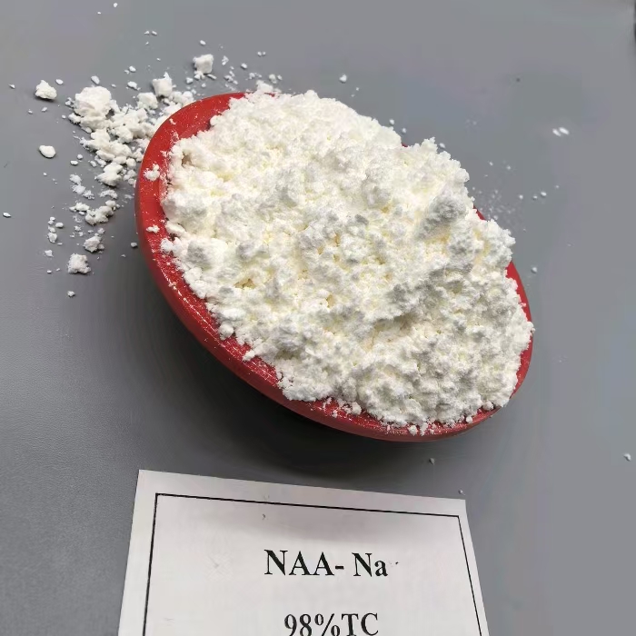 plant growth regulator NAA Na - Transplant aid - fruit thinner - Rooting hormone