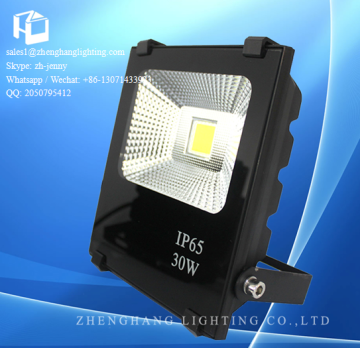 LED COB Floodlight 30W Outdoor IP65