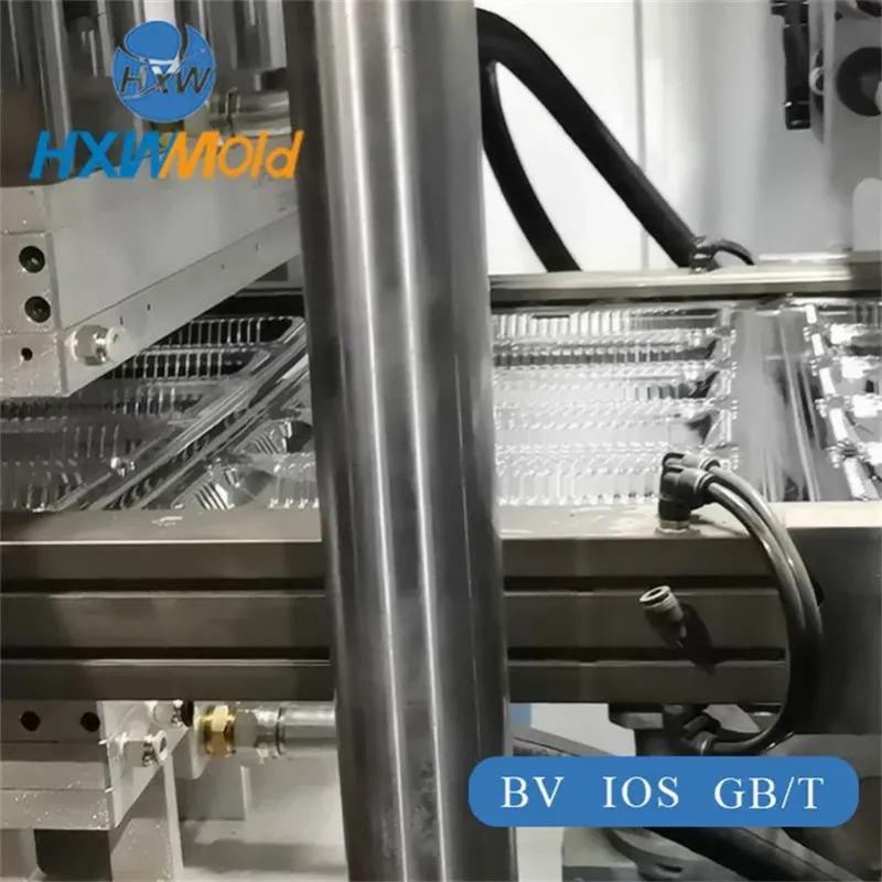 Custom Plastic Lunch Box Thermoforming Mold