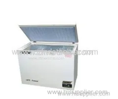 170 L Chest-deep In The Refrigerator 