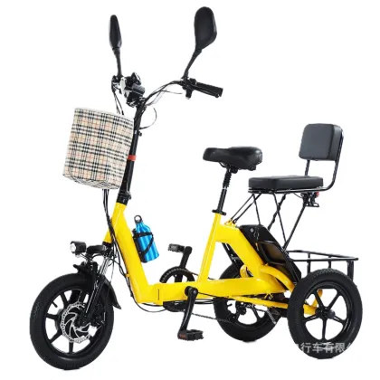 2025 New 14-inch Folding Electric Power Tricycle 48V Lithium Manned Electric Tricycle