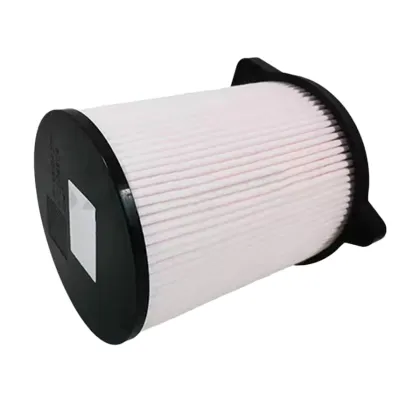 Car Air Filter 670004604 For Maserati