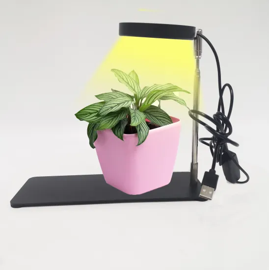 10 Dimmable Angle Ring LED Plant Grow Light with Iron Base and 3/9/12H Timer: Natural Halo Ring Grow Lamp