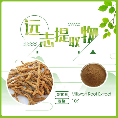 organic polygala tenuifolia extract powder