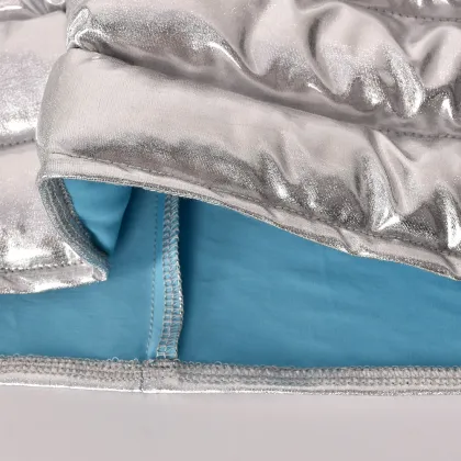 Silver Metallic Bubble Skirt - Fashionable Party Dress for Night Clubs