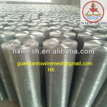 Welded Wie Mesh/1x30m wire mesh galvanized/square welded wire mesh 1/2"