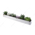 Decorative Tapered Stainless Steel Planters