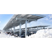 Customized solar carport for all meet