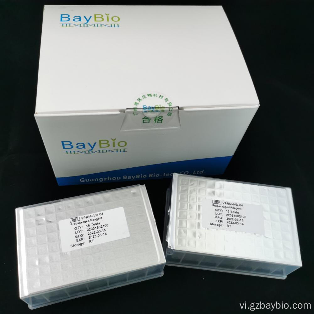 Bộ dụng cụ RNA virus từ tính Baypure