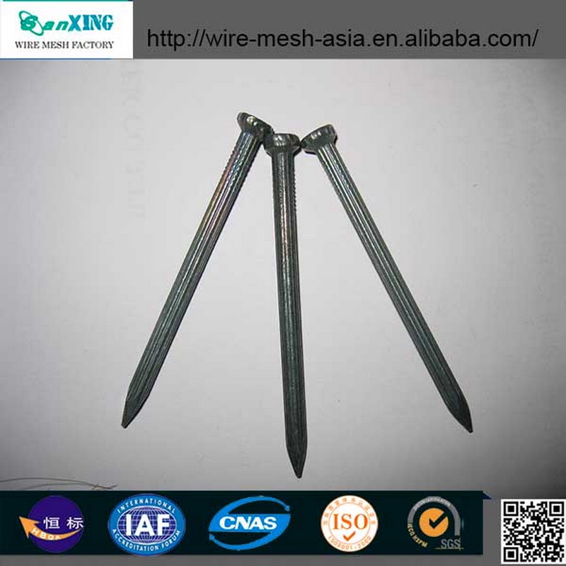 Galvanized Common Nail