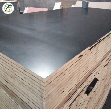 Construction Plywood Film Faced Plywood