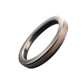 SPGW поршневое кольцо кольца