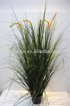 Direct factory price 50cm overall tall simulated green potted plant Trichodesma EMCPZ01 0701