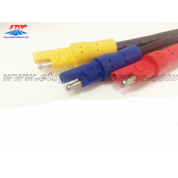 Molded Auto Plug for Vehicle