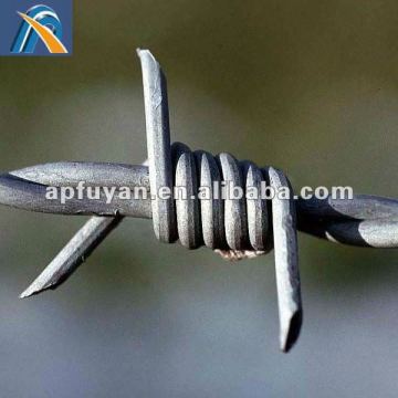 Concertina Barbed Wire for Sale
