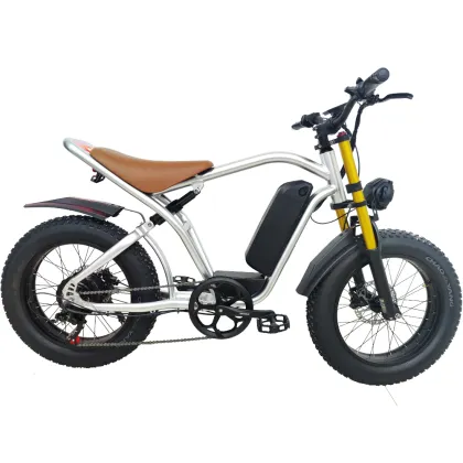 Top Quality Electric Bicycle