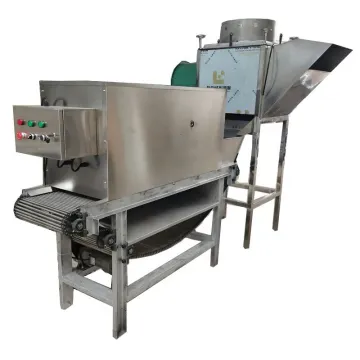 Automatic Dry Garlic Peeler Machine - Chain Type Industrial Garlic Peeling Machine