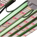 730W เชิงพาณิชย์ LED LED Grow Light