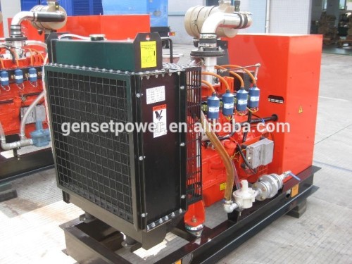 50hz Electric 30kw to 800kw standby power propane generator with ATS