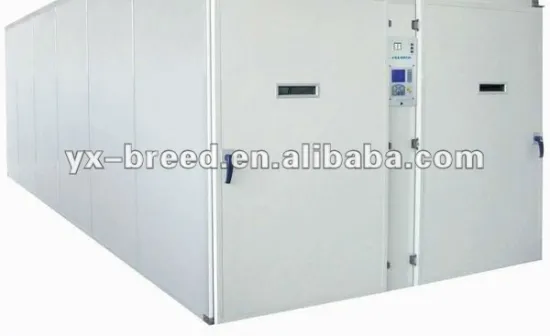 incubators for hatching eggs 3000