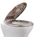 Duroplast Toilet Seat Soft Close (starfish)