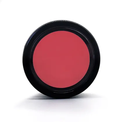 Wholesale Fast Drying Custom Color Hair Chalk for Girls