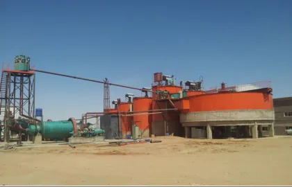 CIL Gold Leaching Plant Solutions