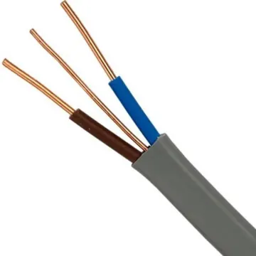 10AWG 12AWG Copper Core PVC Insulated Electrical Cable