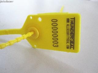 PADLOCK SEALS Laser Marking Machine