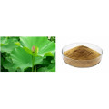 Loss weight blue lotus flower extract