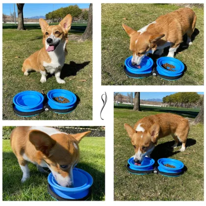 Eco-Friendly Silicone Double Bowl Plate Pet Feeder & Travel Bowl