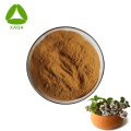 Organisch tijmbladextract Thymol Powder 10: 1