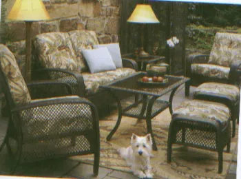 Rattan Furniture