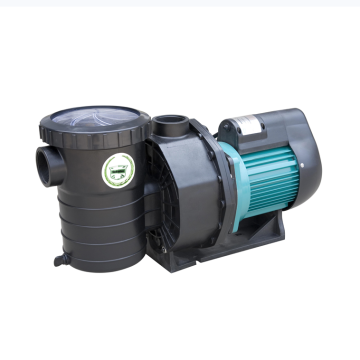 China 12v pool pump Saa and filter