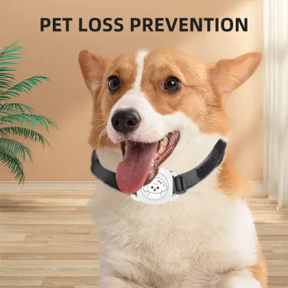 Mini Waterproof Pet GPS Tracker: High Quality Certified Anti-Loss Device