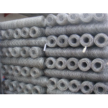 Galvanized Hexagonal Wire Mesh